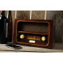 AM/FM radio RECEIVER bruin