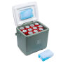 Brisby Koelbox - Frigobox - 13L - Groen - Tot maximaal 40 uur isolatie - Incl. 2 dikke koelelementen van 450ml - Temperatuur veilige sluiting - Nieuw ontwerp met koelelement vergrendeld in deksel