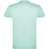 Beagle herenshirt met korte mouwen - Mintgroen - 3XL