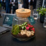 Wardians® Ecosystem - Conical small, Zonder verpakking Wardians® Ecosystem - Conical small, Zonder verpakking