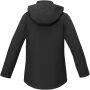 Notus gewatteerd softshell damesjas - Zwart - XS Notus gewatteerd softshell damesjas - Zwart - XS