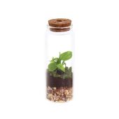 Wardians® Ecosystem - Bottle XS