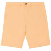 pastel apricot
