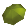 Opvouwbare mini-paraplu Burnt Lime One Size