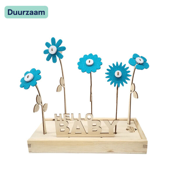 Happy blooms I Hello baby