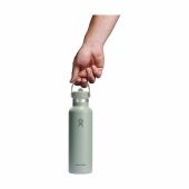 Hydro Flask Standard Mouth with Flex Straw Cap 621 ml waterfles - groen/grijs