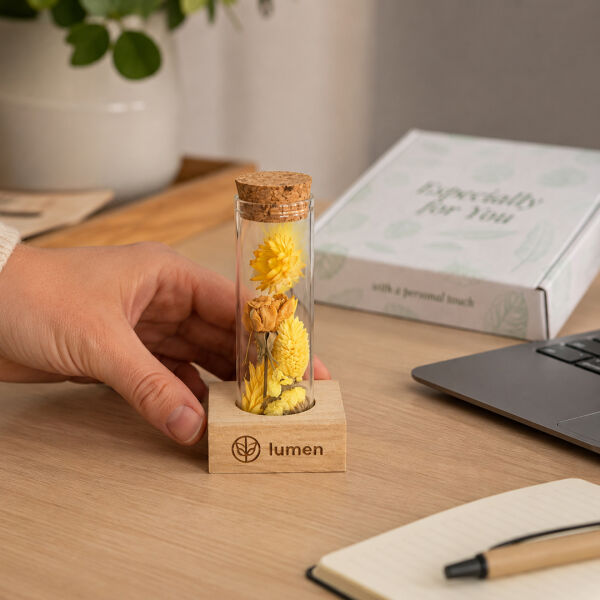 Dried Flowers - Single tube & wood, Multicolor Dried Flowers - Single tube & wood, Multicolor