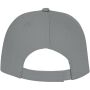 Ares 6 panel cap - Grijs