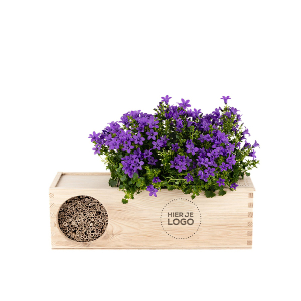 BloomsBox - Blooming Bee&B