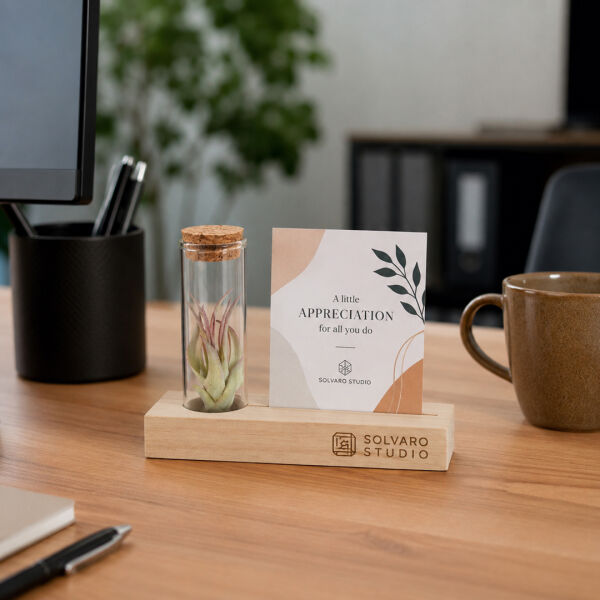 Airplant - Cardholder & tube Airplant - Cardholder & tube
