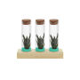 Tiny Treasurez® - Trio tube & wood, Turquoise