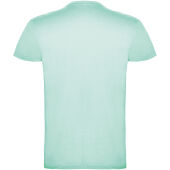 Beagle kortärmad T-shirt för herr - Mintgrön - 3XL