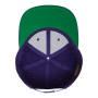 Classic Snapbackpet PURPLE One Size