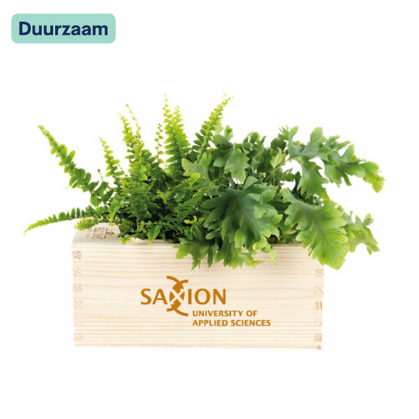 Bloomsbox I M I Saxion