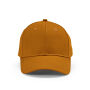 Darrell Cap - Bruin