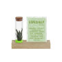 Tiny Treasurez® - Cardholder & tube, Groen