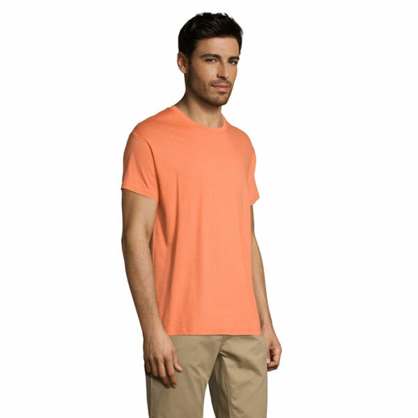 REGENT - REGENT Uni T-Shirt 150g - L - Abrikoos REGENT - REGENT Uni T-Shirt 150g - L - Abrikoos