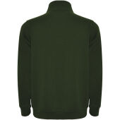 Aneto 280 g/m² trui met kwartritssluiting - Flessengroen - 3XL