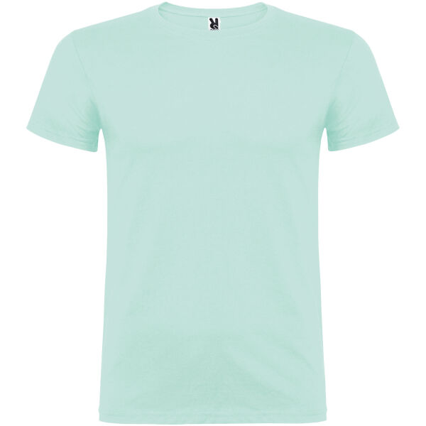 Beagle short sleeve men's t-shirt - Mint - 3XL