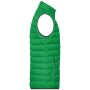 Men's Down Vest fern green/silver 3XL