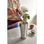 Black+Blum geïsoleerde reisbeker 600 ml, olijfgroen