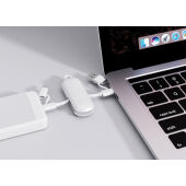 Urban Vitamin Dublin 100W 4 -in-1 keychain cable, wit
