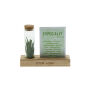 Tiny Treasurez® - Cardholder & tube, Natuurlijk