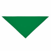 BANDANA BANDIDO - Multifunctionele sjaal - Groen BANDANA BANDIDO - Multifunctionele sjaal - Groen