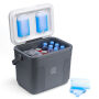 Brisby Koelbox - Frigobox - 22L - Grijs - Tot maximaal 40 uur isolatie - Incl. 4 dikke koelelementen van 450ml - Temperatuur veilige sluiting - Nieuw ontwerp met koelelementen vergrendeld in deksel