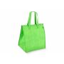 R-PET koeltas, non-woven, 33 x 25,5 x 37 cm, 75 g/m² - Lichtgroen