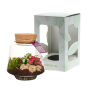 Wardians® Ecosystem - Conical small, Zonder verpakking