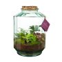 Wardians® Ecosystem - Stripe large, Zonder verpakking
