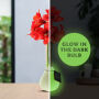 No Water Flowers® - Glowz, Zonder verpakking
