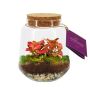 Wardians® Ecosystem - Conical medium, Zonder verpakking