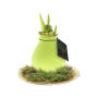 No Water Flowers® - Waxz® on golden dish, In giftbox, Pastel groen