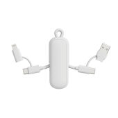 Urban Vitamin Dublin 100W 4 -in-1 keychain cable, wit