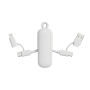 Urban Vitamin Dublin 100W 4 -in-1 keychain cable, wit