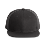 Pet Snapback - 6 panelen Dark Grey One Size
