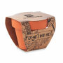 FORGET ME NOT - Potje Vergeet-me-nietjes - Hout