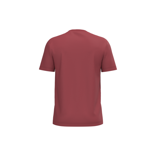Heren T-shirt Bio190 Terracotta Red 5XL Heren T-shirt Bio190 Terracotta Red 5XL