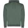 Urban 280 g/m² hoodie voor heren - Lauriergroen - 3XL