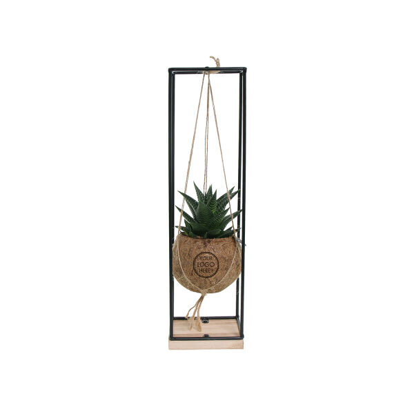 Kokodama® - Hanging easy care mix (S)
