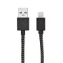 Bernoulli Cable - Zwart