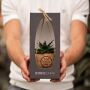 Kokodama® - Easy care mix (S), Zonder verpakking