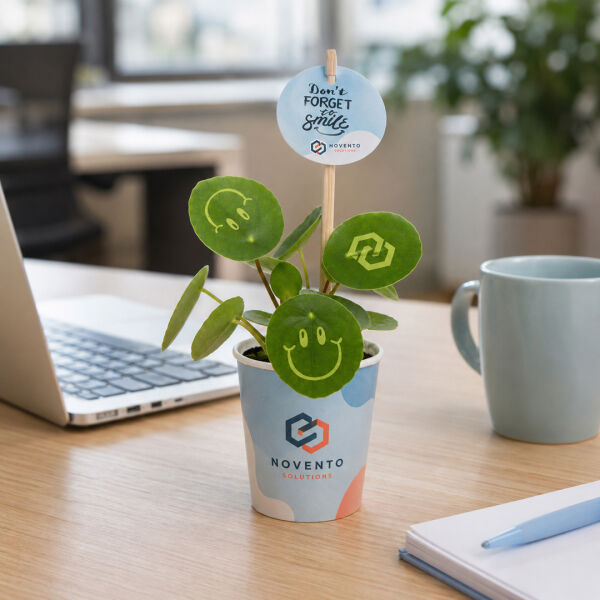 Smylieplant® - Happy in papercup (small), In beschermende plantensleeve Smylieplant® - Happy in papercup (small), In beschermende plantensleeve