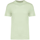 Celadon Green