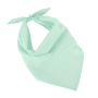 Fiesta - Bandana Frost Green One Size
