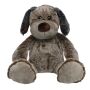 Dog Constantin - brown