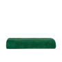T1-100 Classic Beach Towel - Green