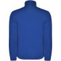 Antartida softshell herenjack - Koningsblauw - S